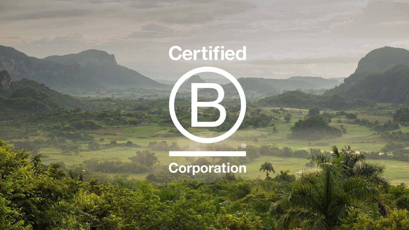 B-Corp Certified - Waha Lifestyle