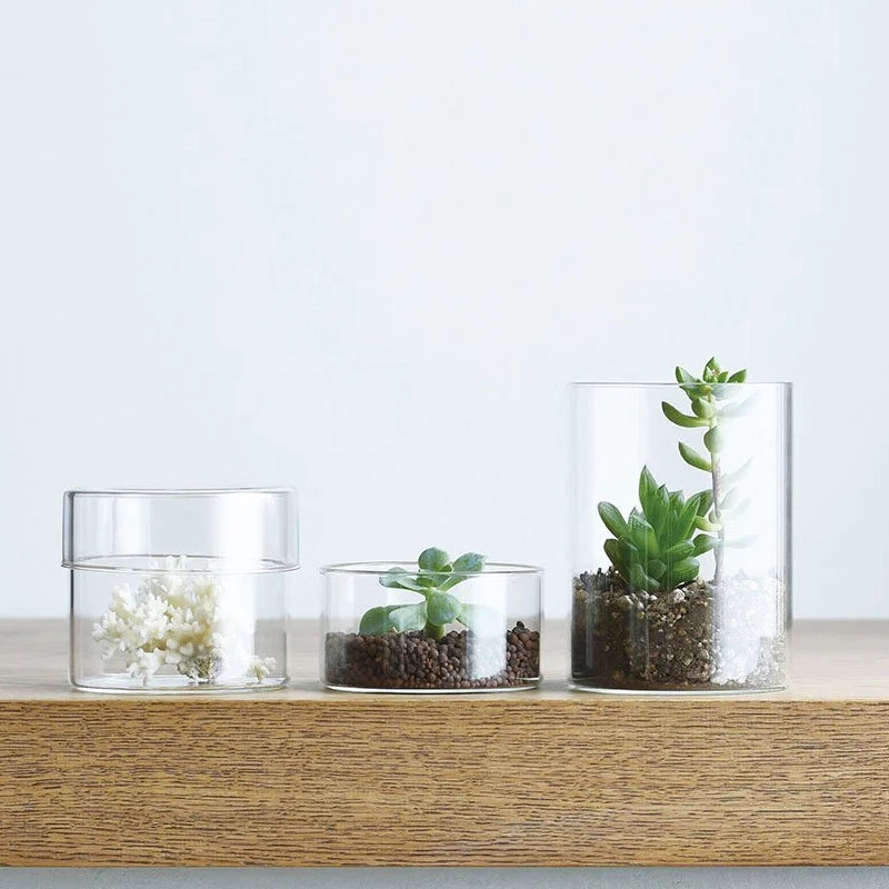Schale Clear Glass Storage Case with Lid