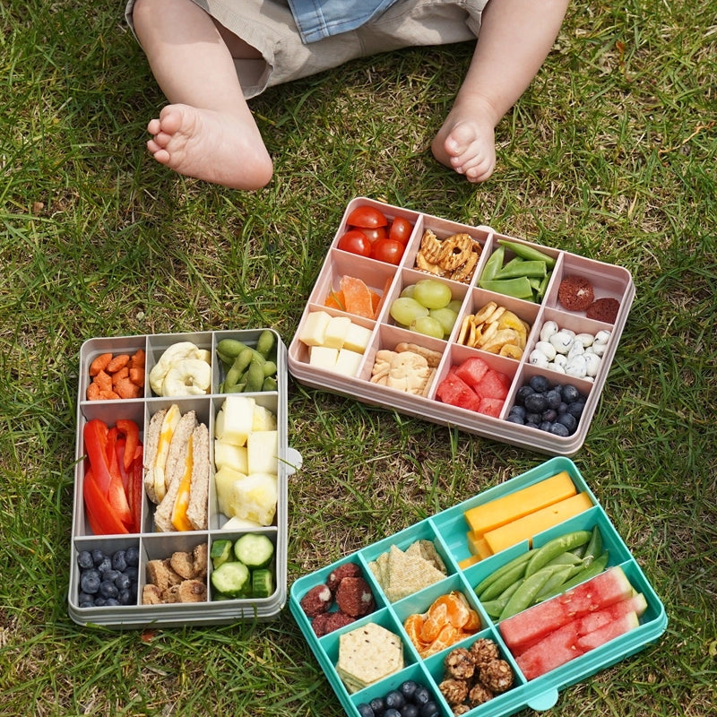 Snackle Regular Bento Lunch Box with 12 Compartments
