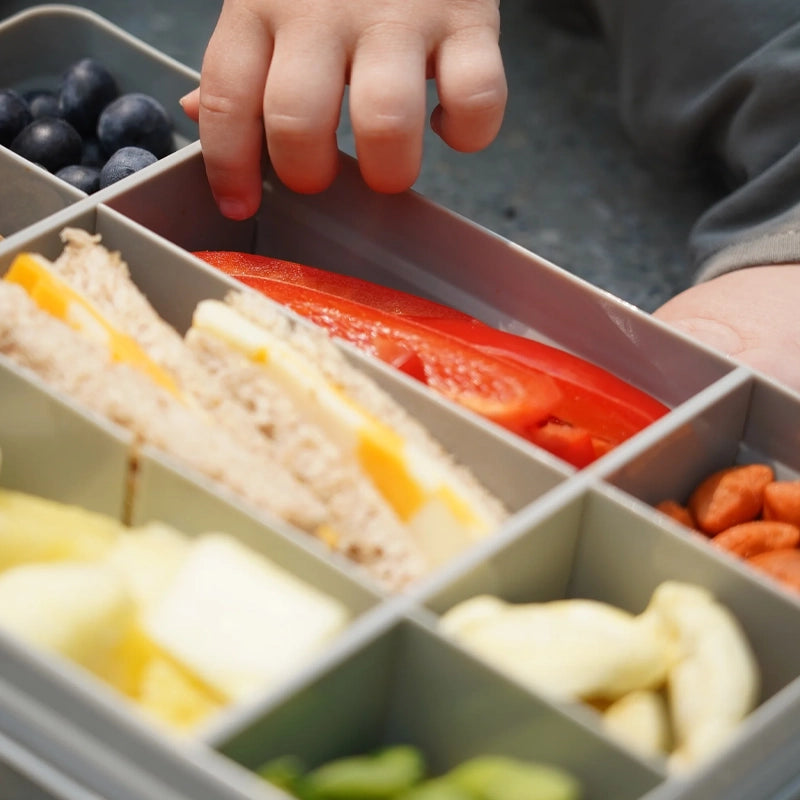 Snackle Regular Bento Lunch Box with 12 Compartments