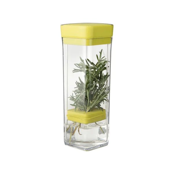 CHEF - N HerbFresh for Fresh Herb Storage in Kuwait - Waha Lifestyle