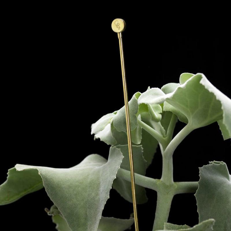 GG Button Flower & Plant Support Brass Stick - Waha Lifestyle