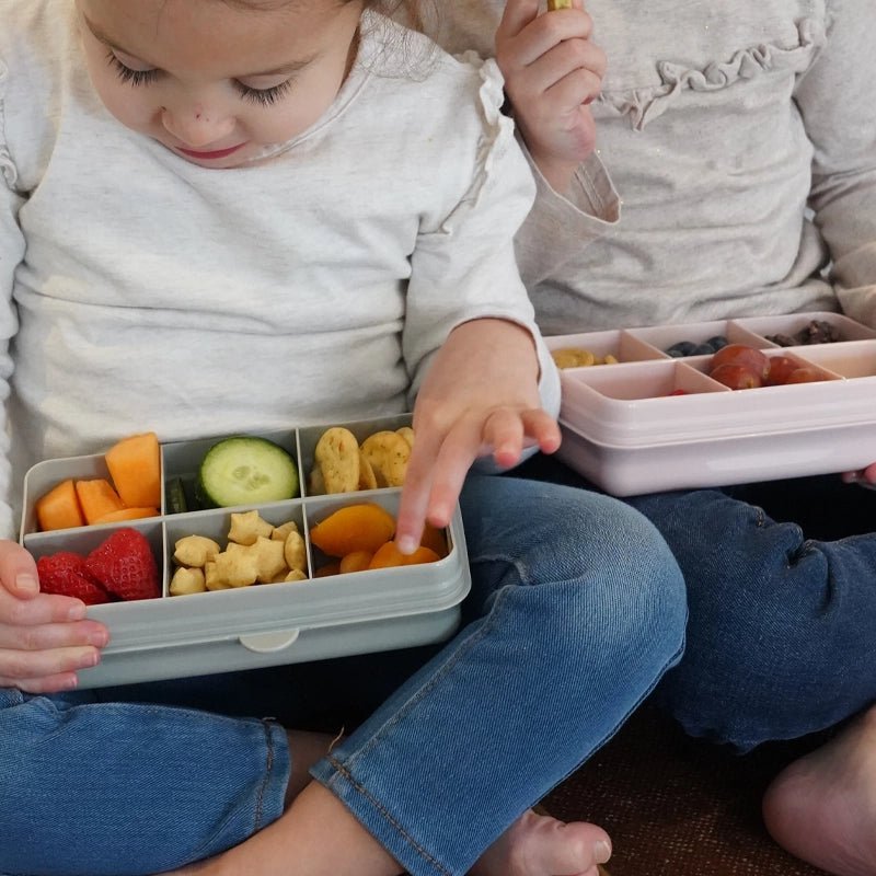 Kids Snackle Mini Box with 6 Compartments & Lid