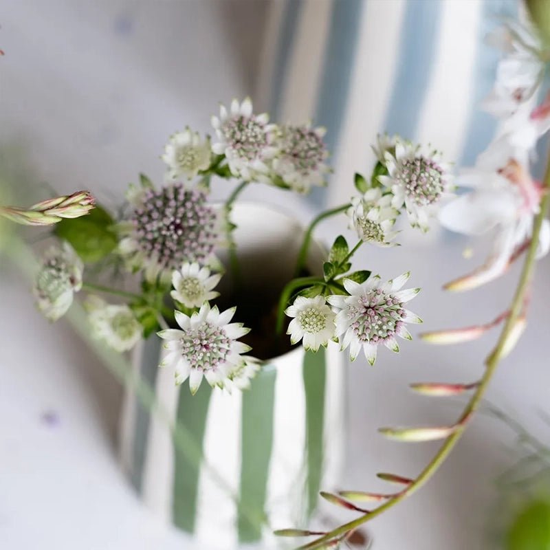 Ceramic Creamer with Candy Stripes - 350ml