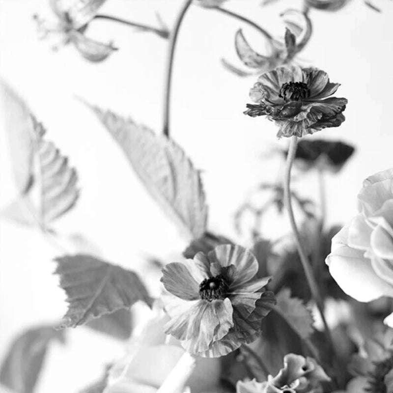 Dreamer Eau de Parfum - 30ml - Unisex