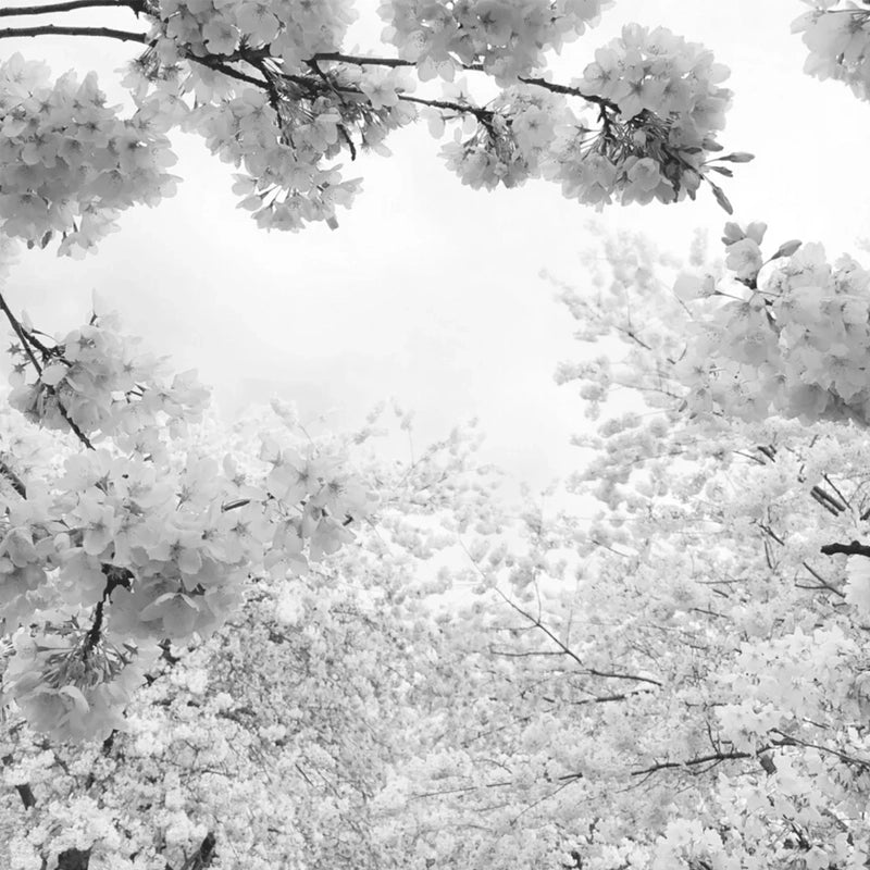 ONE SEED Freedom Eau de Parfum - 30ml - Women - Waha Lifestyle - Kuwait