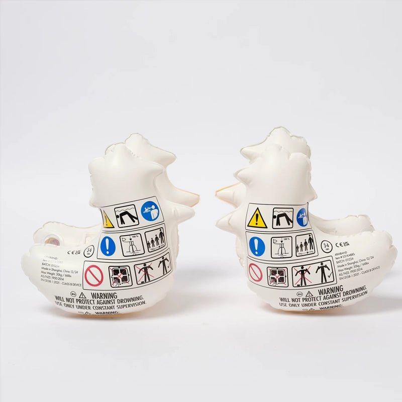 Inflatable Arm Bands for Kids - 2pcs
