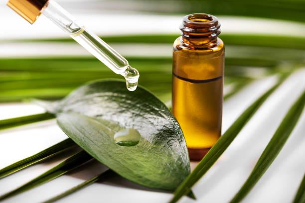 From Roots to Tips: Tea Tree Oil's Benefits for Beauty