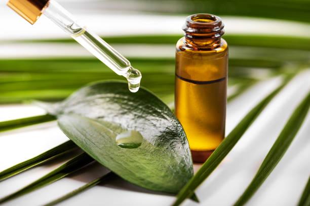 From Roots to Tips: Tea Tree Oil's Benefits for Beauty - Waha Lifestyle
