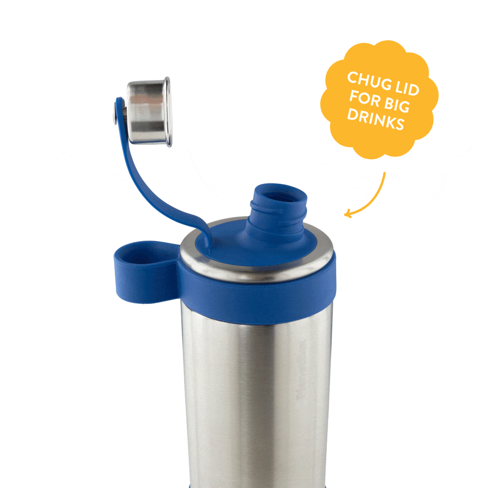 Insulated Stainless Steel Glacier Water Bottle - 295ml