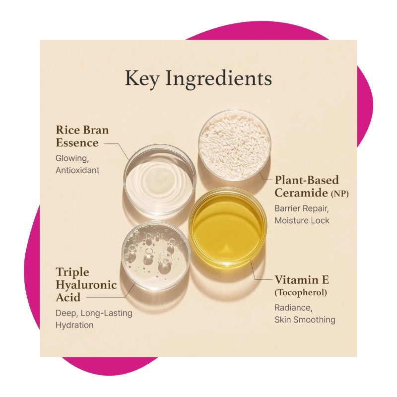 Korean Rice Moisturizer Cream for Dry Skin &amp; Natural Glow - 50g