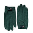 Microfiber Leaf & Plant Cleaning Gloves