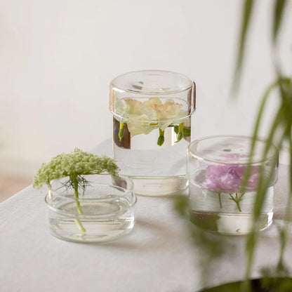 Schale Clear Glass Storage Case with Lid