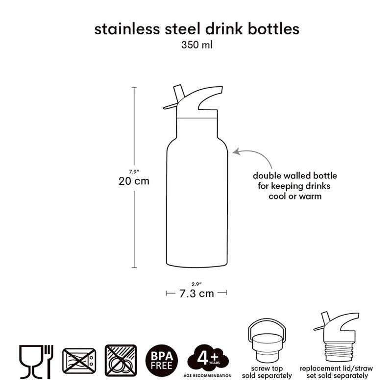 Little Kids Stainless Steel Water Bottle for Everyday Use – 350ml