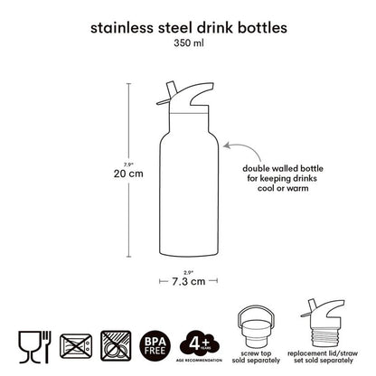 Little Kids Stainless Steel Water Bottle for Everyday Use – 350ml