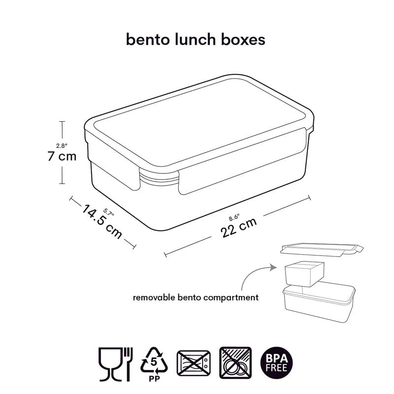 Printed  Kids Bento Lunch Box