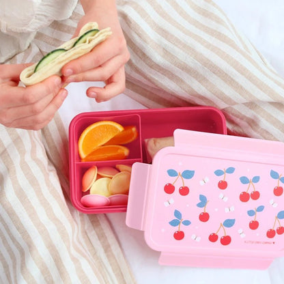 Printed  Kids Bento Lunch Box