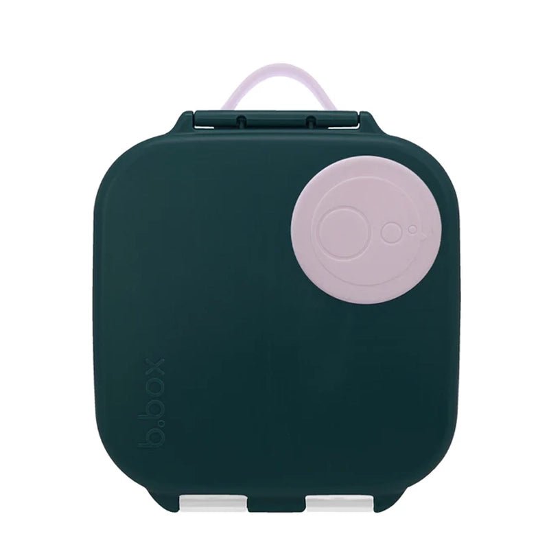Kids Bento Mini Lunchbox with Leak Proof Compartments