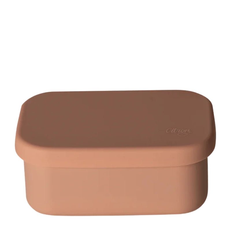 Mini Stainless Steel Kids Snack Box