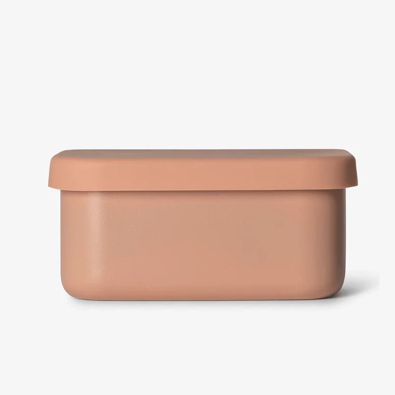 Mini Stainless Steel Kids Snack Box