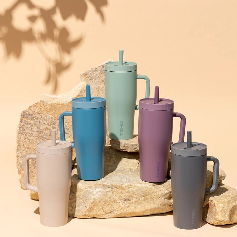 Leakproof Cruiser Insulated Tumbler with Handle - 650ml