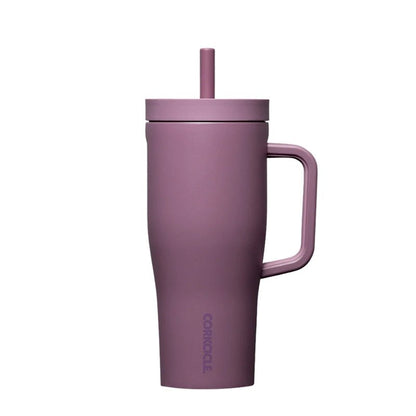 Leakproof Cruiser Insulated Tumbler with Handle - 650ml
