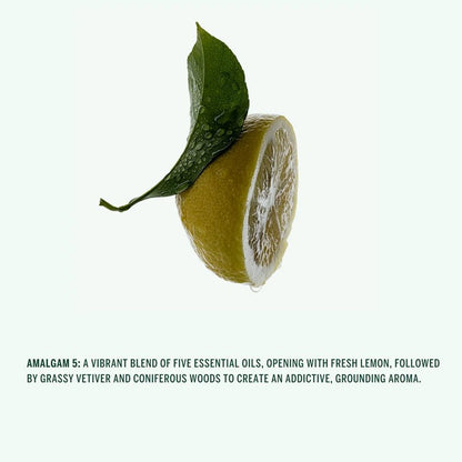 Amalgam 5 Aromatic Hand Wash - 300ml