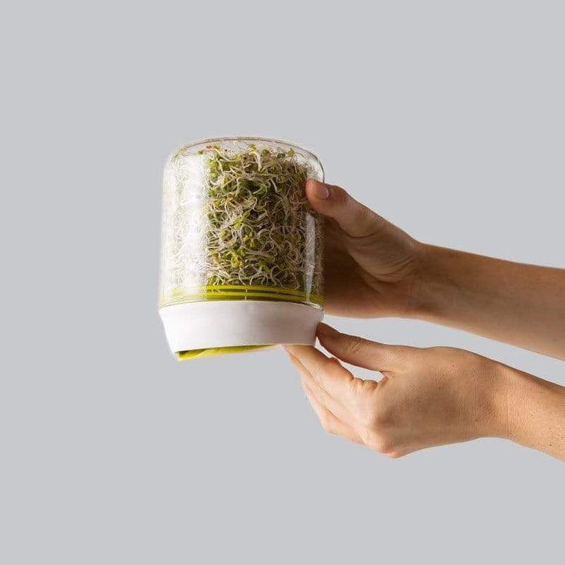 Countertop Sprouter Growing Kit - Waha Lifestyle