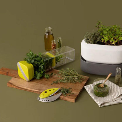 HerbFresh for Fresh Herb Storage - Waha Lifestyle