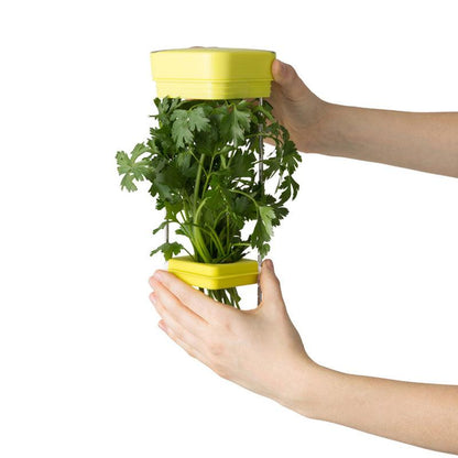 HerbFresh for Fresh Herb Storage - Waha Lifestyle