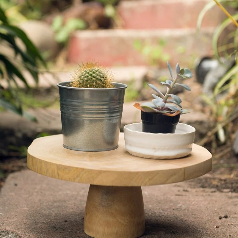 Kiln Handmade Wooden Cake Stand - Waha Lifestyle