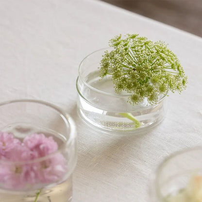 Schale Clear Glass Storage Case with Lid