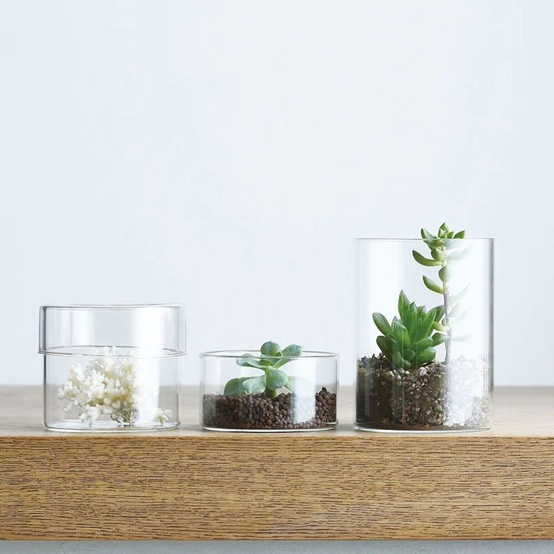 Schale Clear Glass Storage Case with Lid