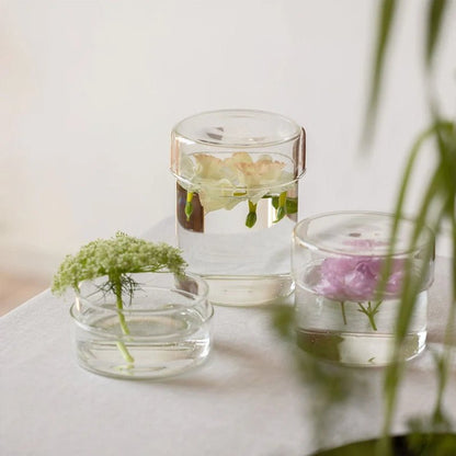 Schale Clear Glass Storage Case with Lid