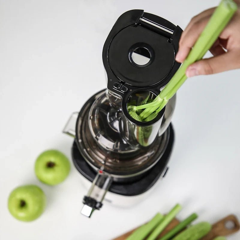 REVO830S Whole Slow Juicer - Matte Black