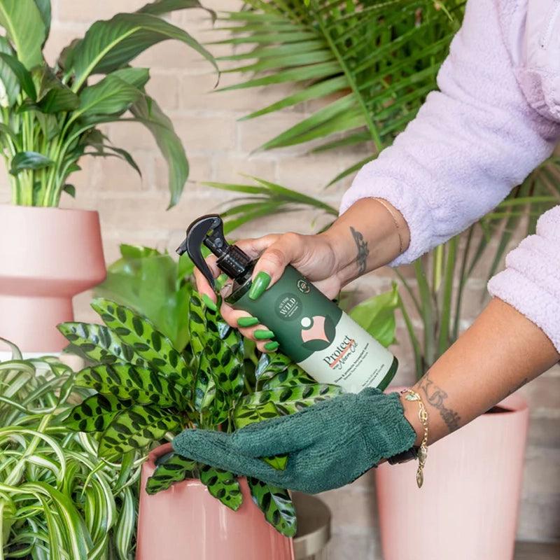 Lush Leaf Health Kit For Houseplants - 2pcs - Waha Lifestyle