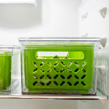 Master Class Fresh Keeper Vegetable Storage Container - Waha Lifestyle