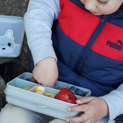 Kids Snackle Mini Box with 6 Compartments &amp; Lid