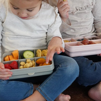 Kids Snackle Mini Box with 6 Compartments &amp; Lid