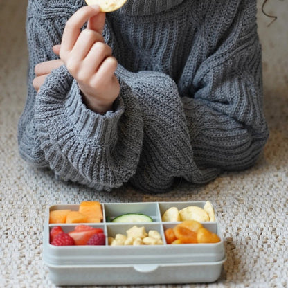 Kids Snackle Mini Box with 6 Compartments &amp; Lid