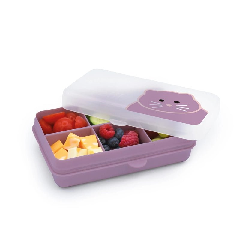 Kids Snackle Mini Box with 6 Compartments &amp; Lid