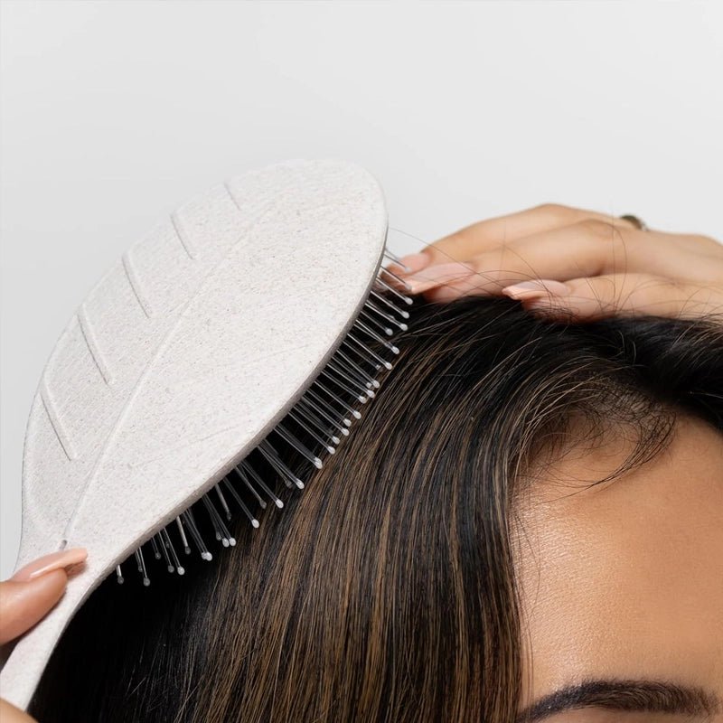 Biodegradable Detangling Brush for Wet Hair