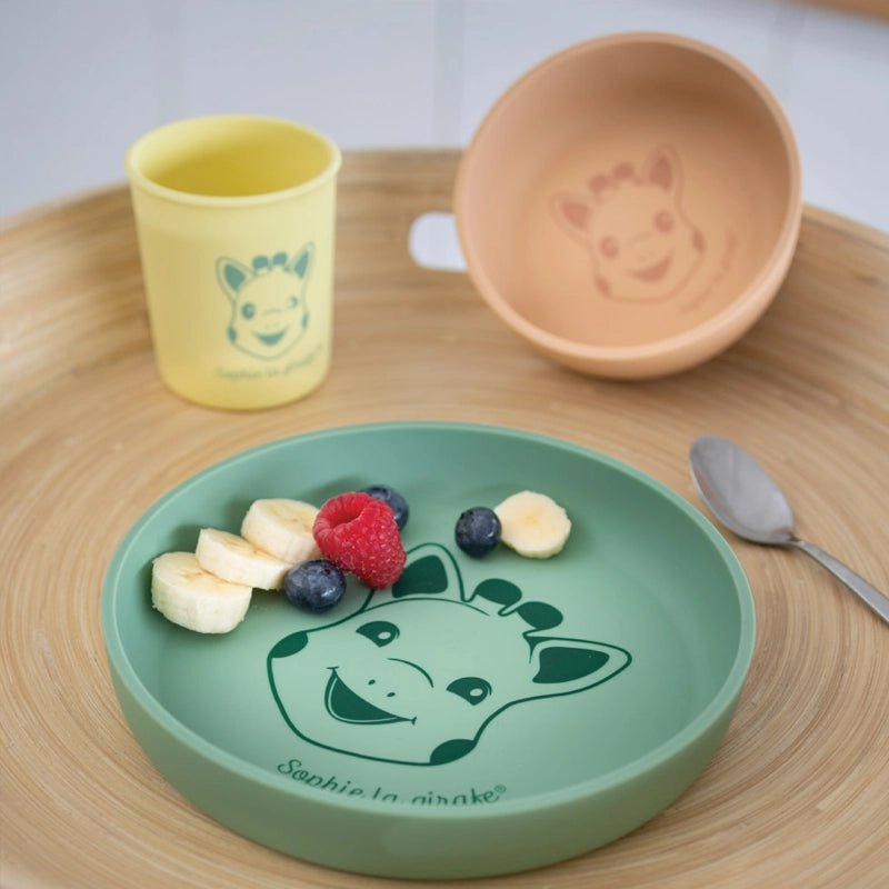 Baby Silicone Feeding Set for First Meals