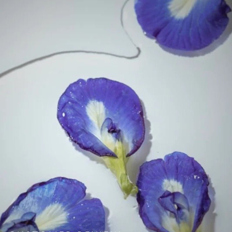 Relax Butterfly Pea Herbal Tea – Caffeine Free - 25g