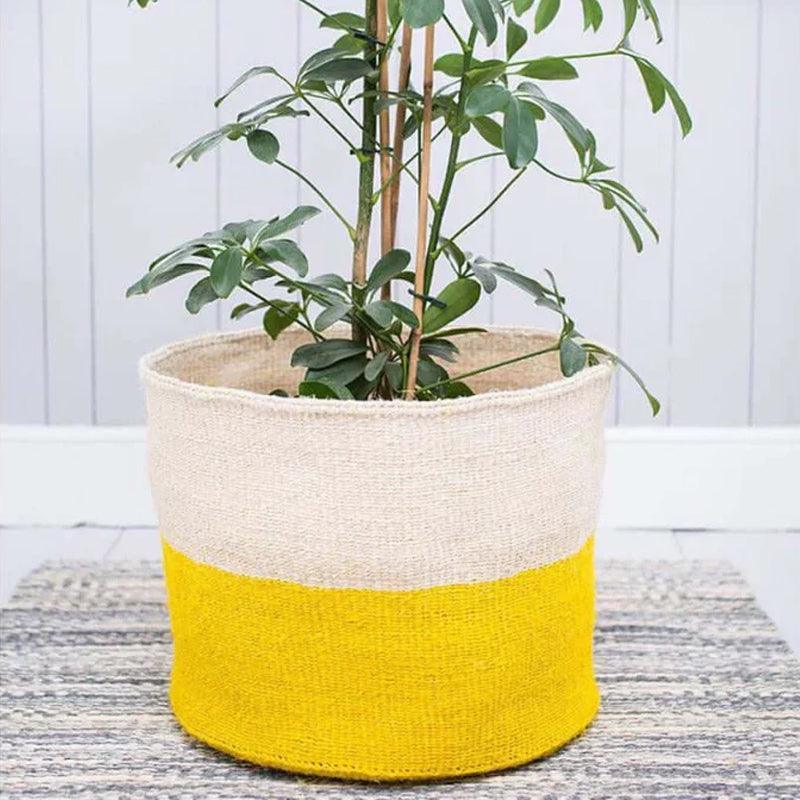 The Basket Room Alizeti Woven Basket - Yellow - Waha Lifestyle