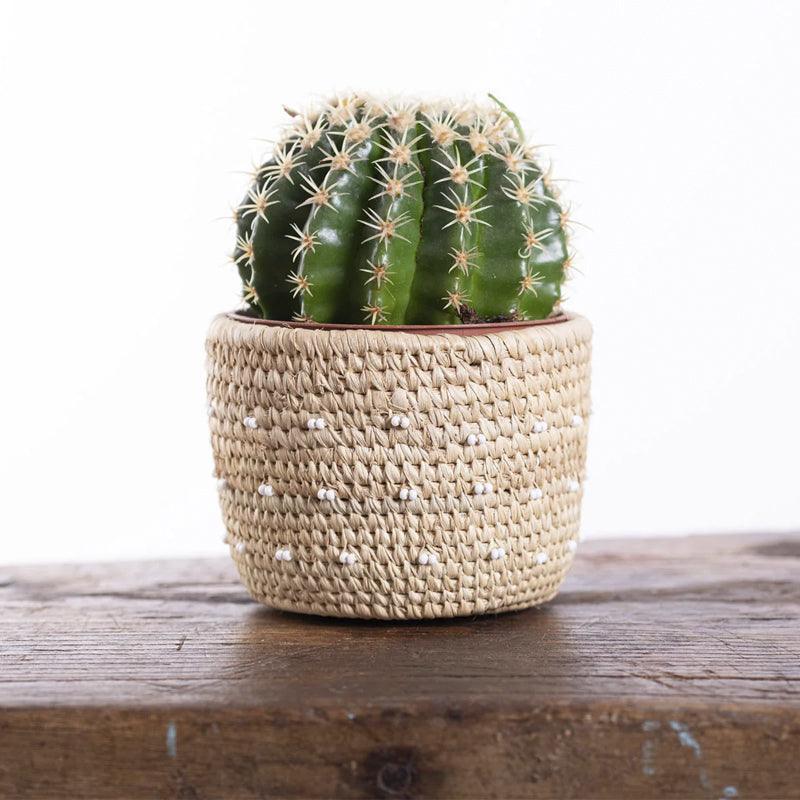 The Basket Room Furahia White Spotted Beaded Basket - Small. - Waha Lifestyle