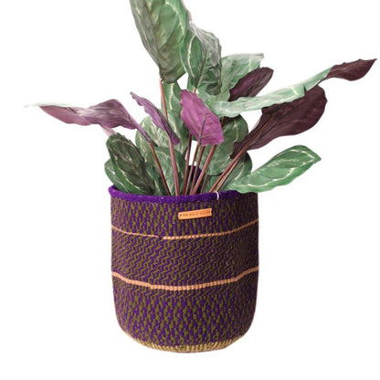 The Basket Room Nifty Planter Woven Basket - Waha Lifestyle