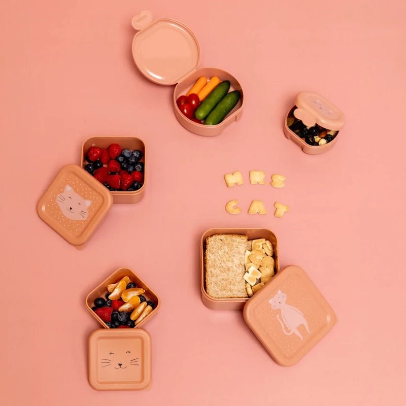 Kids Snack Box Set with Clip Closure – 2pcs