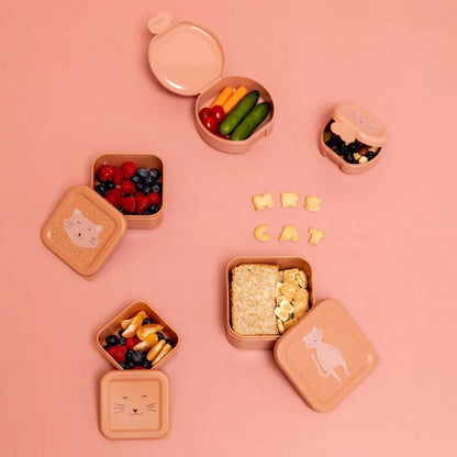 Kids Snack Box Set with Clip Closure – 2pcs