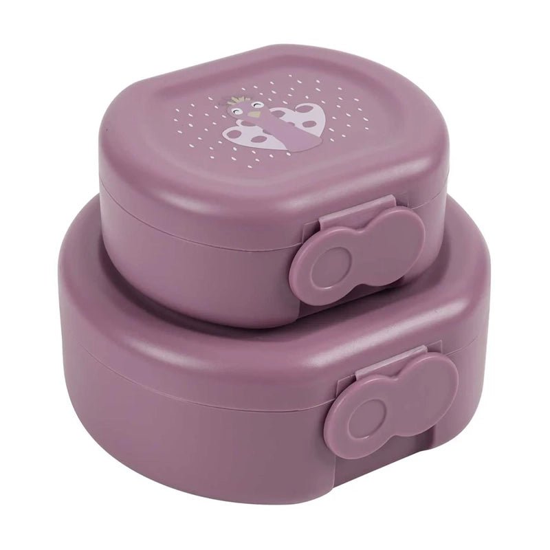 Kids Snack Box Set with Clip Closure – 2pcs